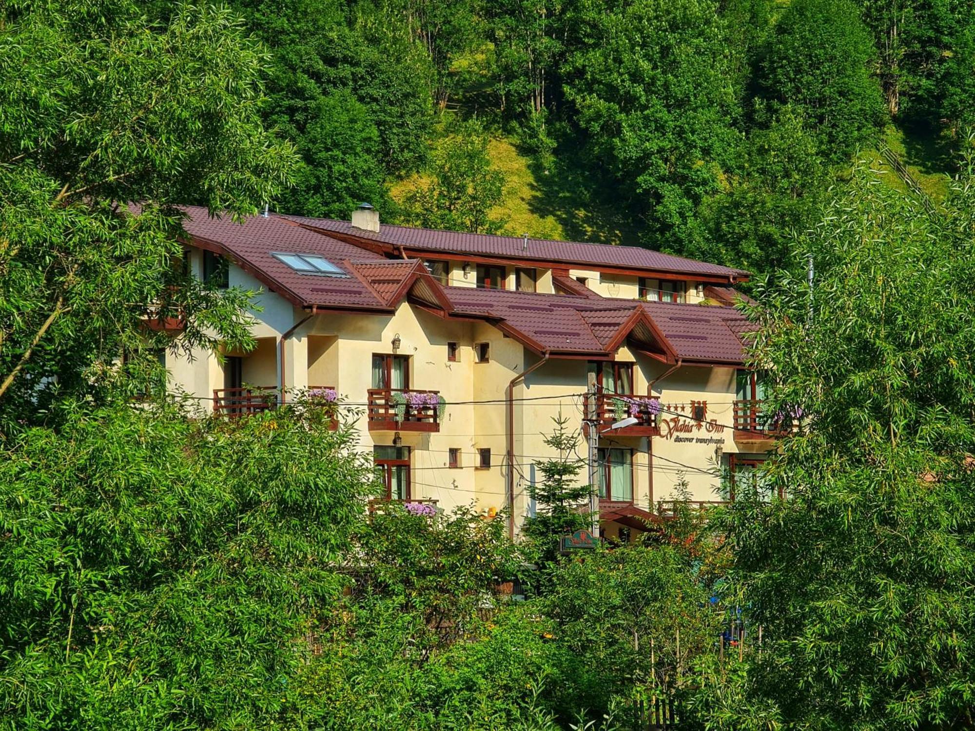 Pensiunea Vlahia Inn Moeciu De Sus Buitenkant foto